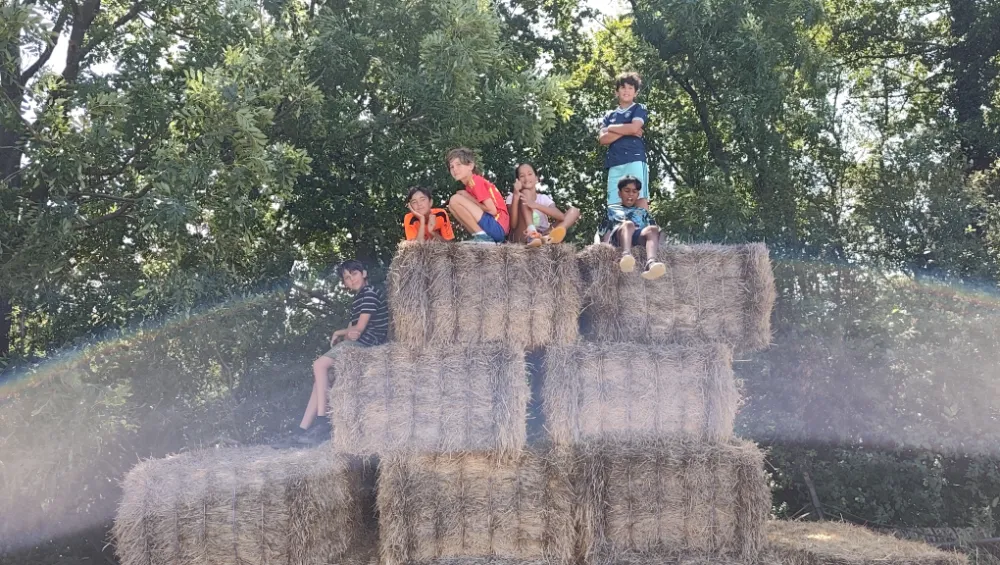 IMG 20260728 115840